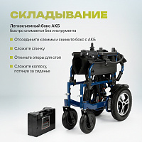 Pulse 110